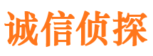 瑞安市私家侦探